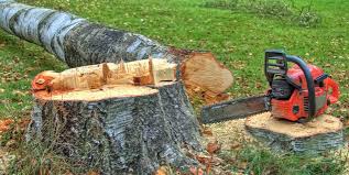 Best Firewood Processing and Delivery  in San Pablo, CA